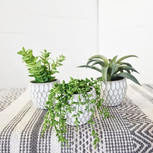 Faux Succulent in White Pot